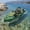 Green, variant on Danrelax Inflatable Kayak with Pedal System, 12ft Premium PVC Fishing Kayak, Lightweight & Portable with Aluminum Seat, Rudder System, and Accessories Included
