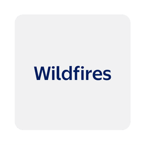 Wildfires