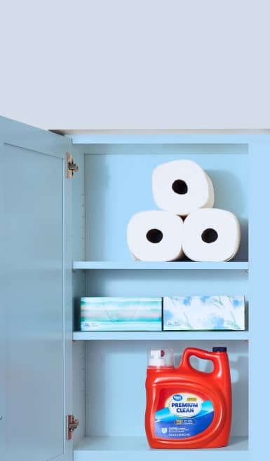 Toilet paper, tissues, and laundry detergent in a cabinet.