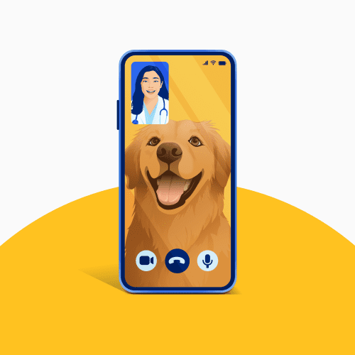 Free Online Pet Care