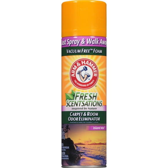 Arm & Hammer Healthy Home Solutions Fresh Clean Scent Odor Eliminator Foam 15 oz. Aerosol Can